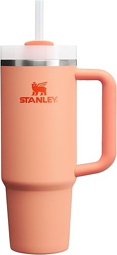 Best STANLEY Quencher H2.0 Tumbler with Handle and Straw 30oz – Top Amazon Pick