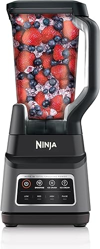 Best Ninja Professional Plus Blender Max Power Smoothie Blender – Top Amazon Pick