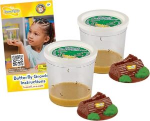 Best Insect Lore Two Cups of Caterpillars Butterfly Garden Kit – Top Amazon Pick