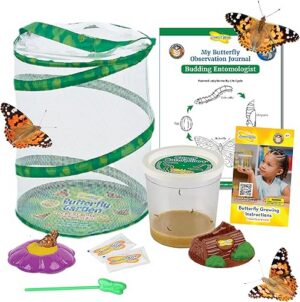 Best Insect Lore Butterfly Garden with 5 Live Baby Caterpillars – Top Amazon Pick