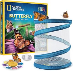 Best National Geographic Butterfly Growing Kit Butterfly Habitat – Top Amazon Pick