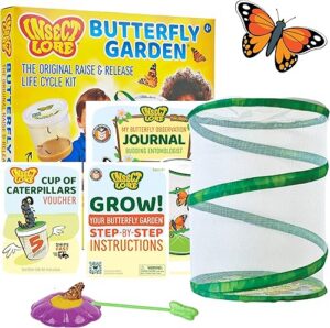 Best Insect Lore Raise and Release Butterfly Garden Kit – Top Amazon Pick